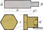 ANODE VM W/TAP | OEM  02060T | ANODES | TECNOSEAL