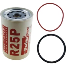 Filtre à carburant RECOR ELEMENT 30 microns | OEM RACR25P | Filtres à carburant