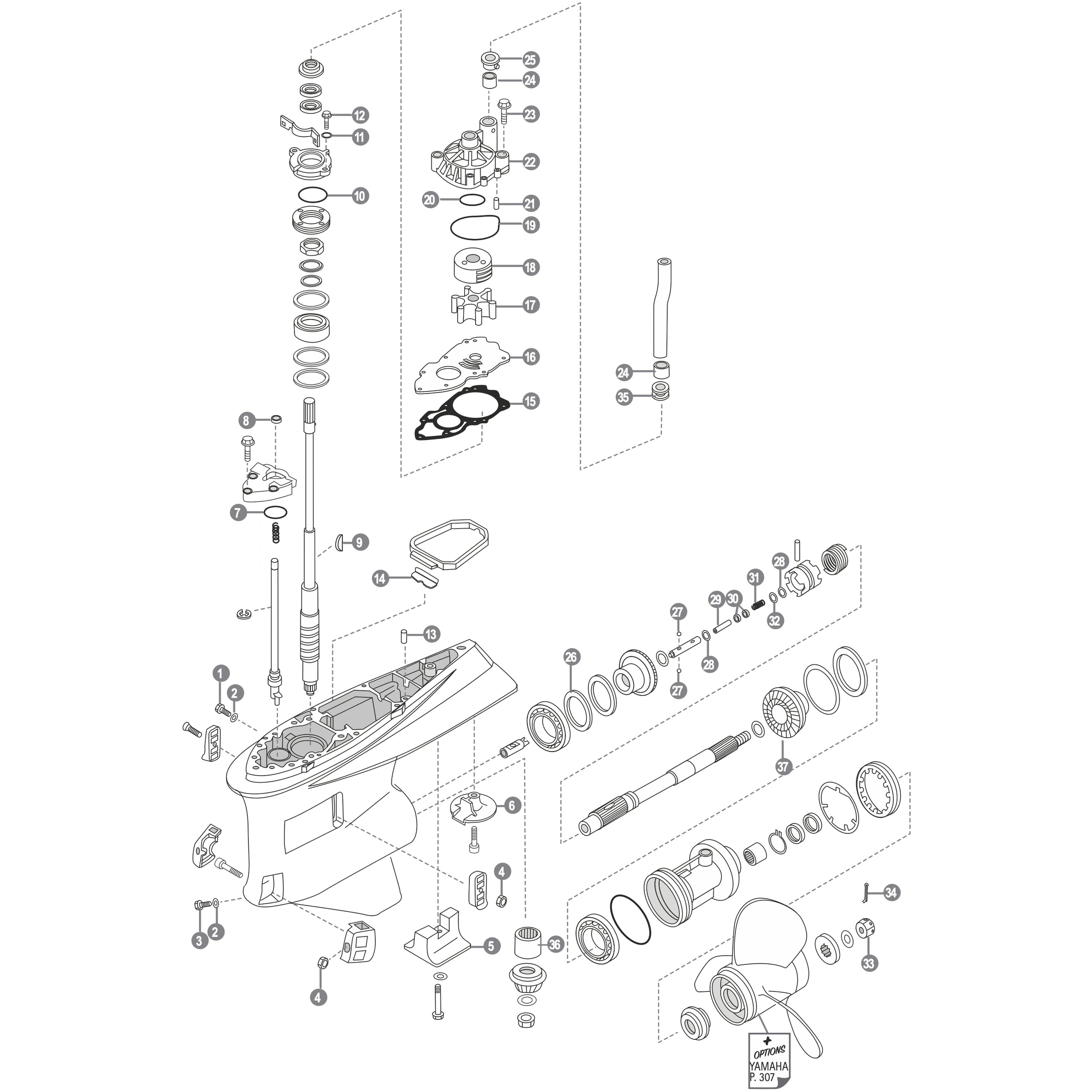 Yamaha F300A / F350A gearcase and water pump parts exploded diagram