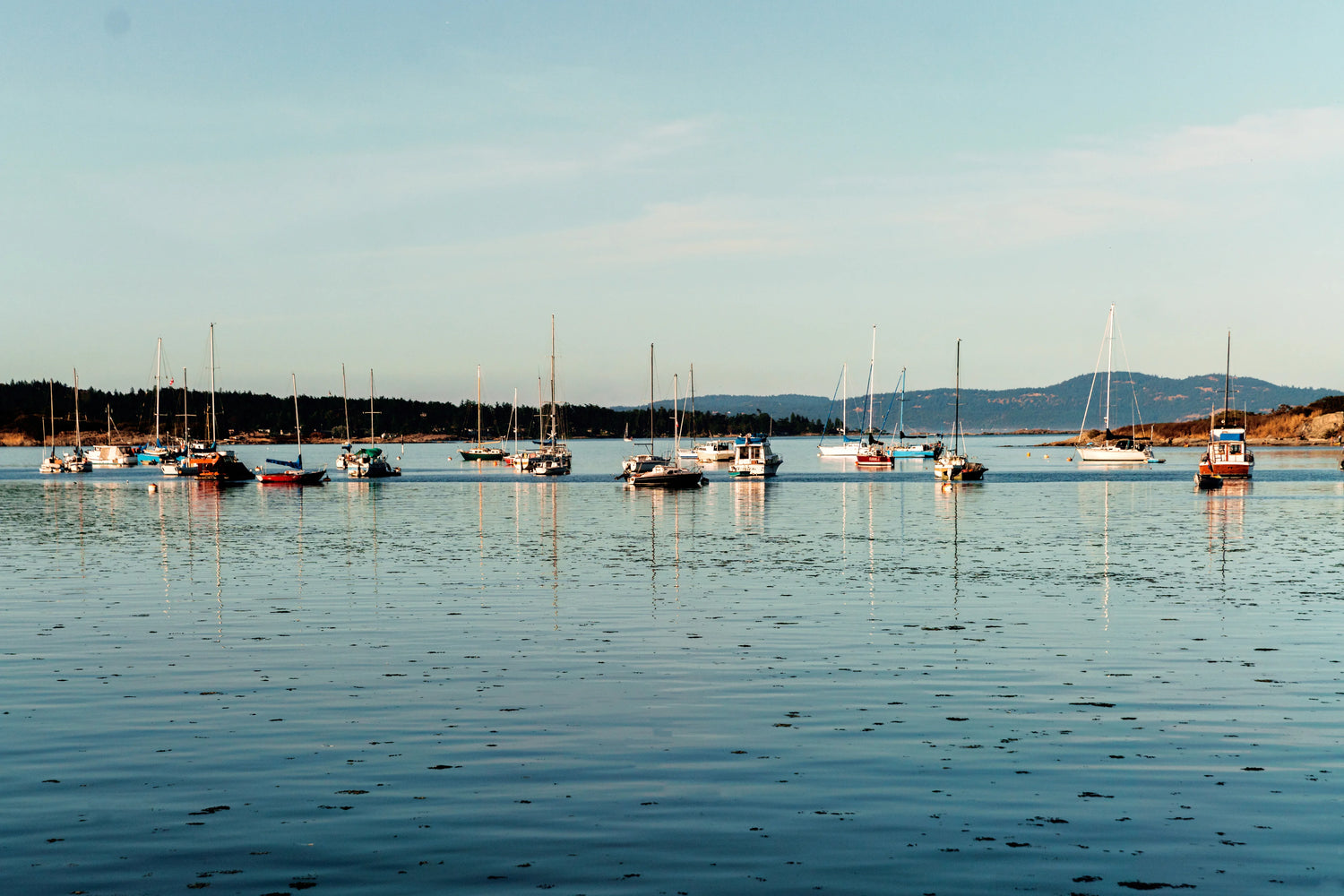 Image of various sail boats in the water surrounded by land.